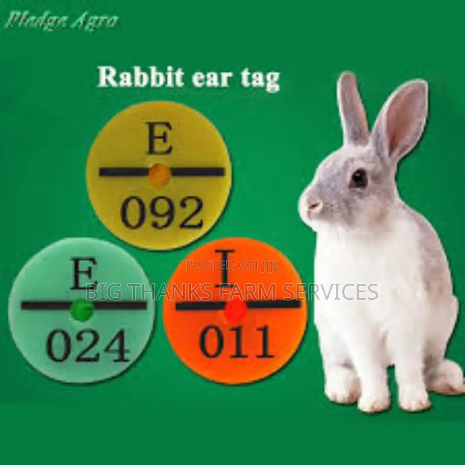 Round Tags For Livestock