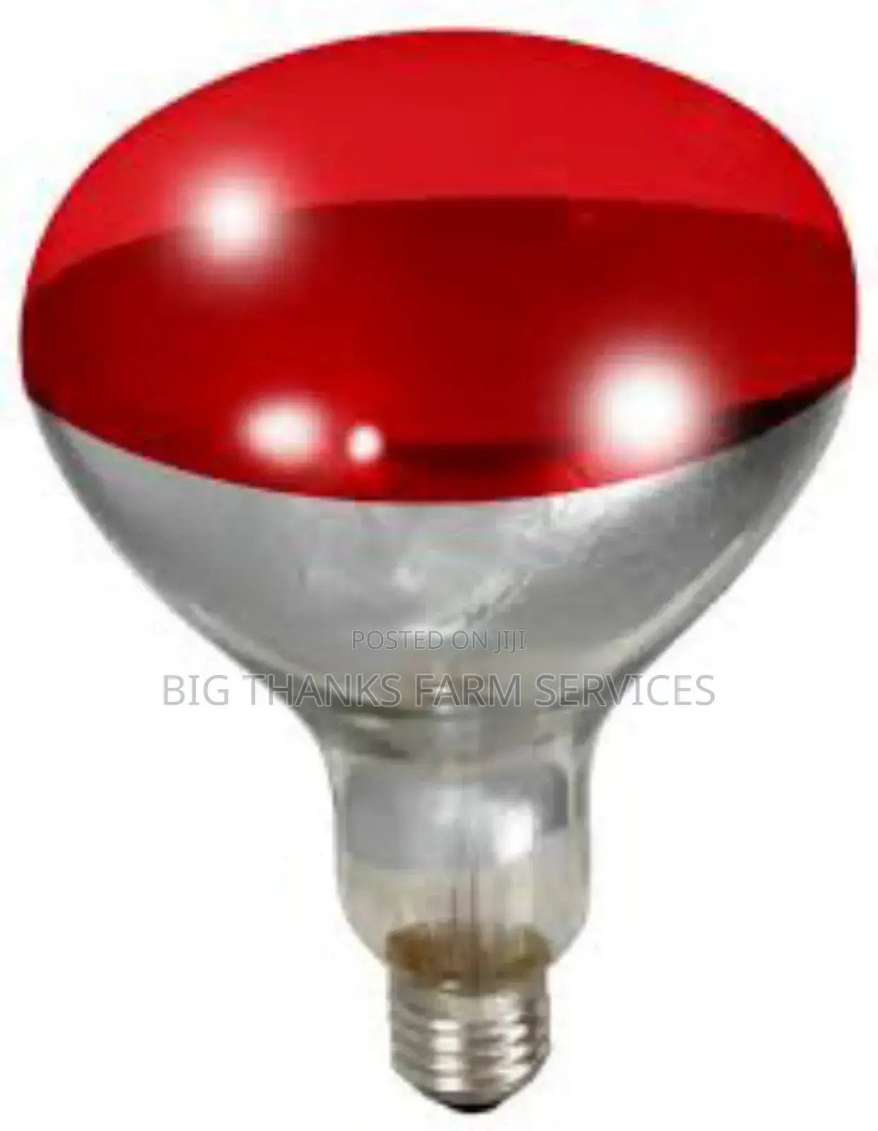 250w Brooder Lamps