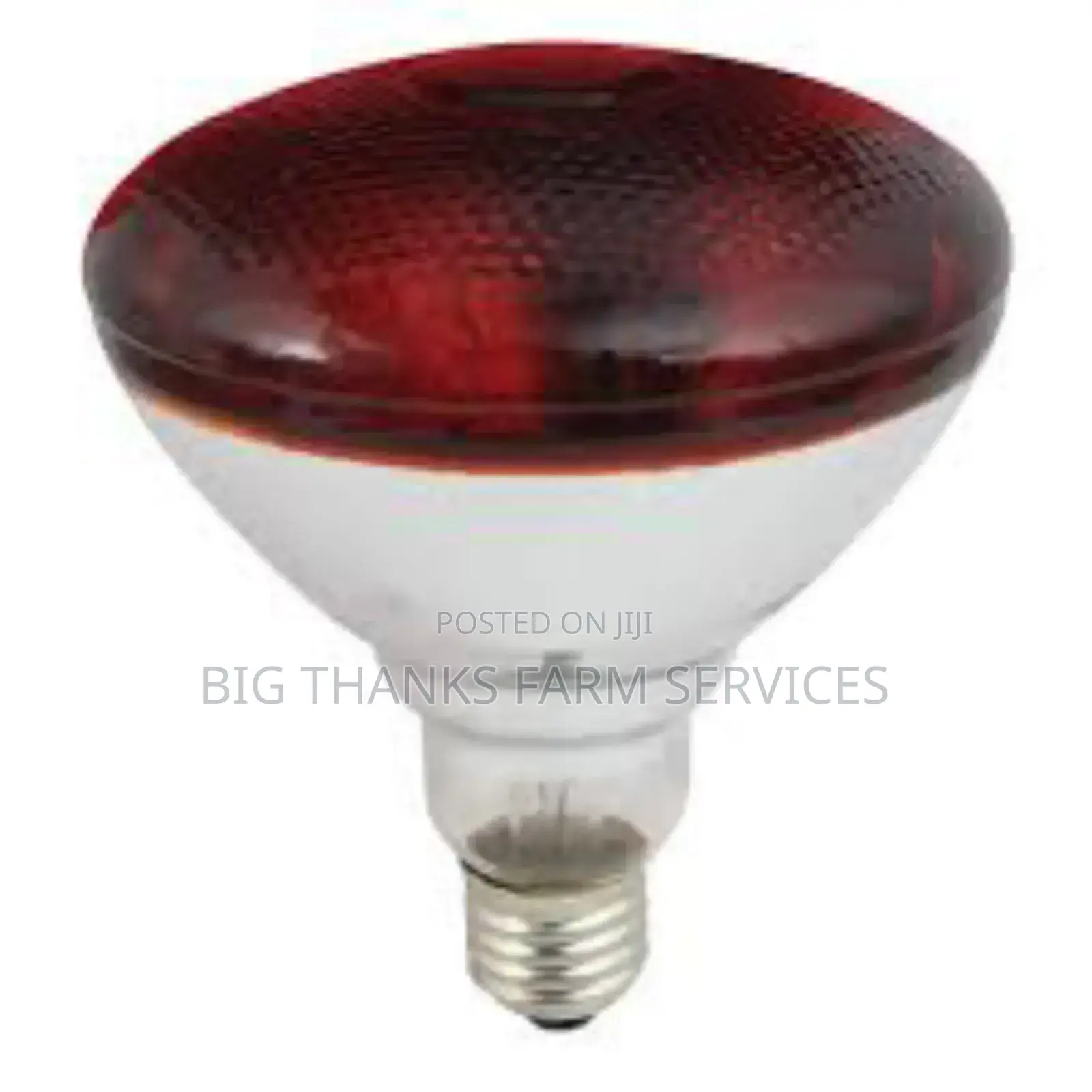 275w Brooder Lamps