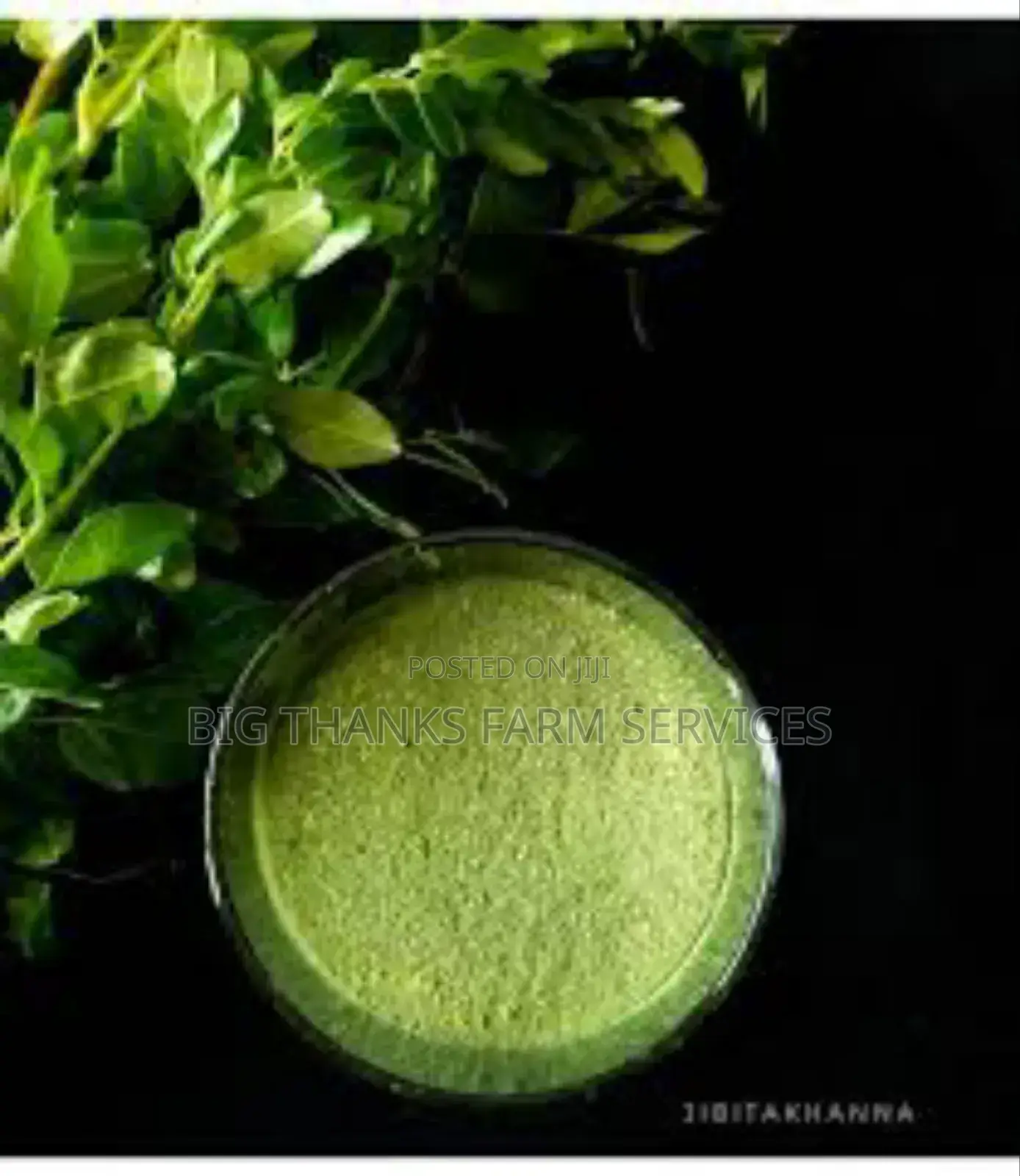 Moringa Concentrate For Animals Feed