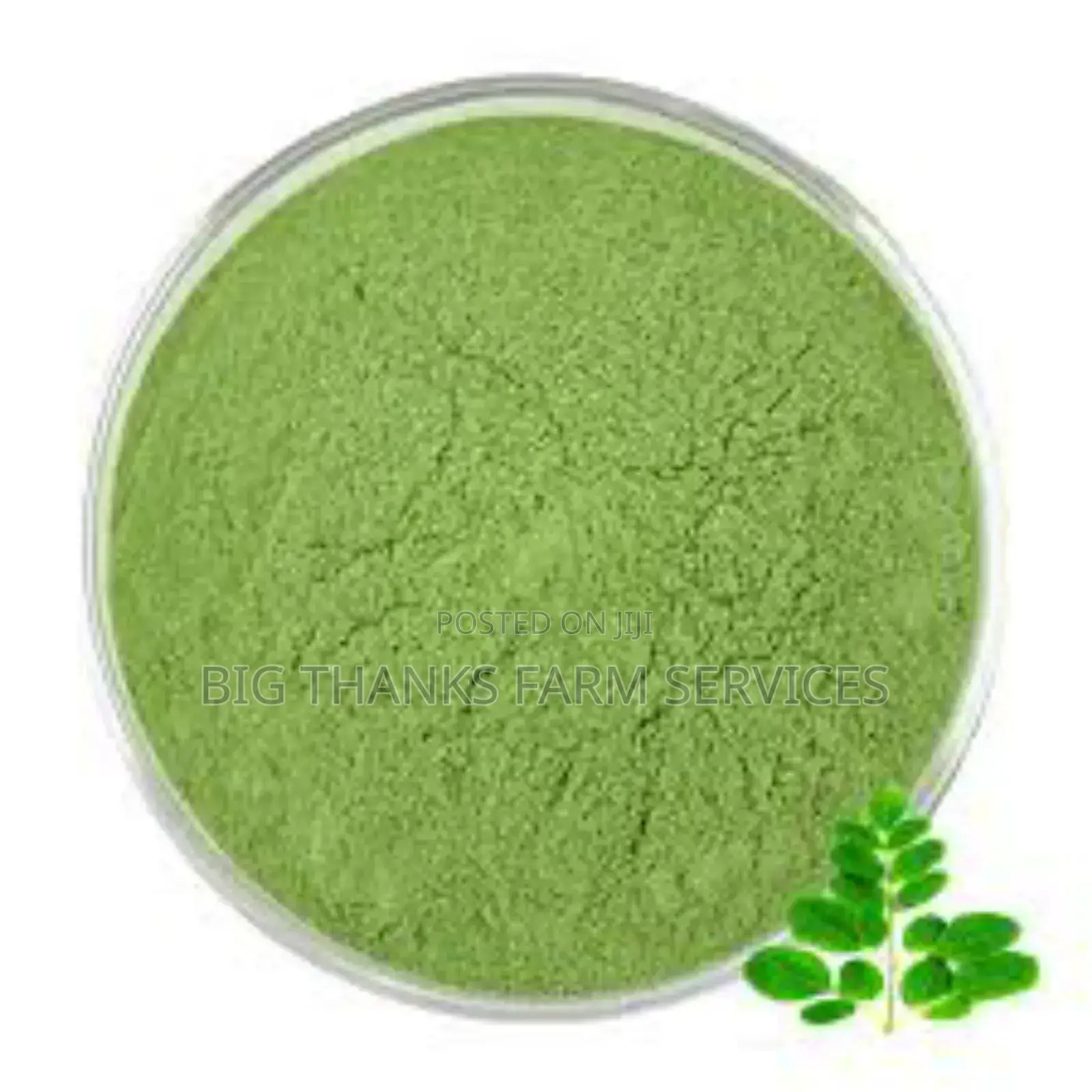 Moringa Concentrate For Animals Feed