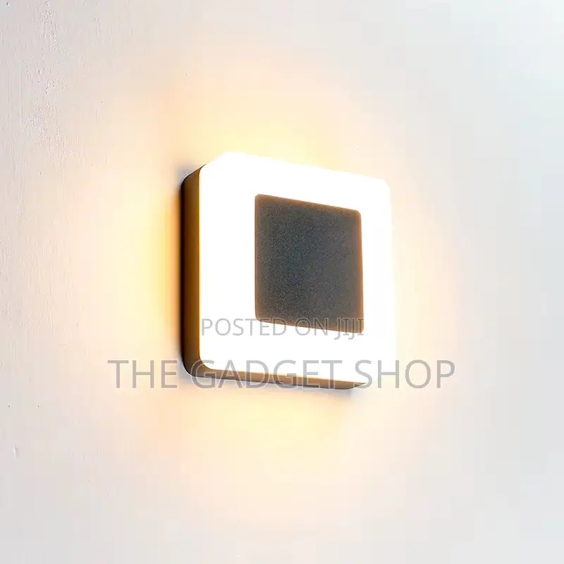 Led Wall Ceiling Light