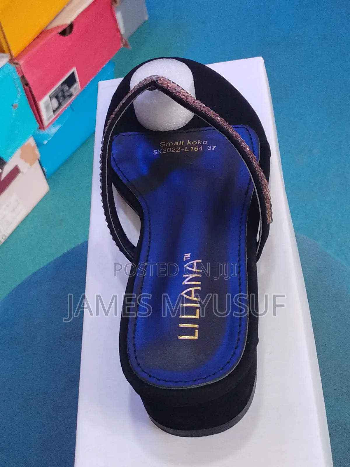 Liliana Salvatore Ferragamo Slippers