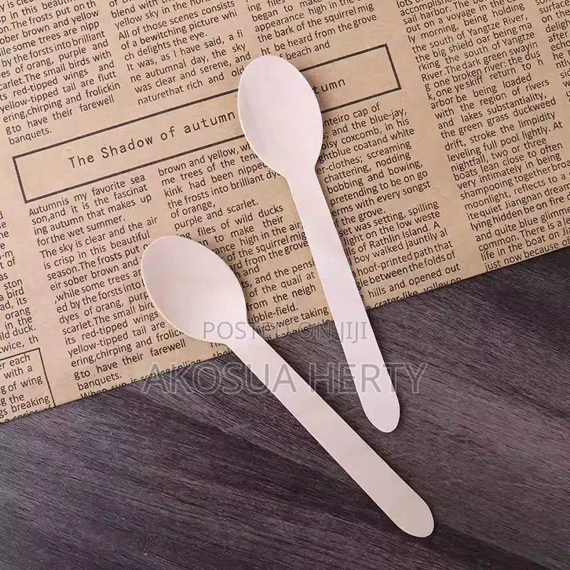 Disposable Wooden Spoons