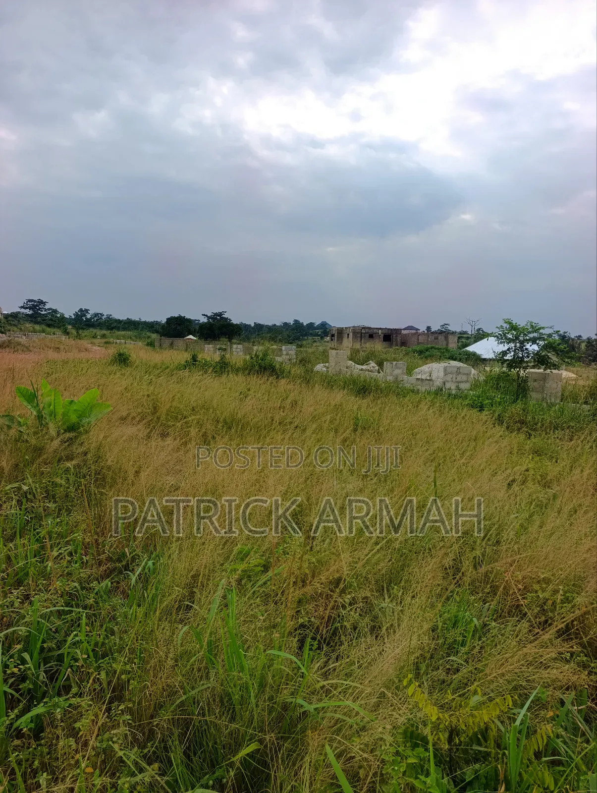 Full Plot at Ejisu Donaso