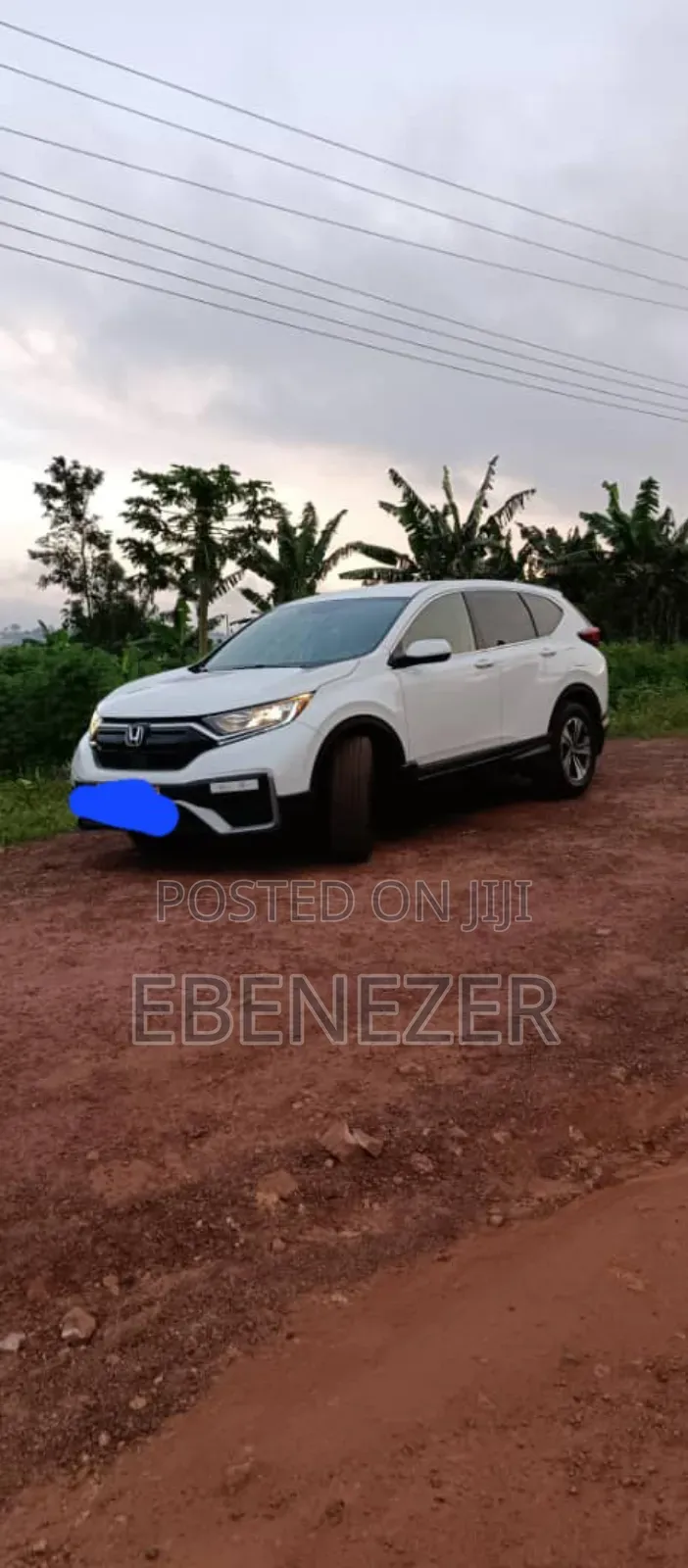 Car Rentals