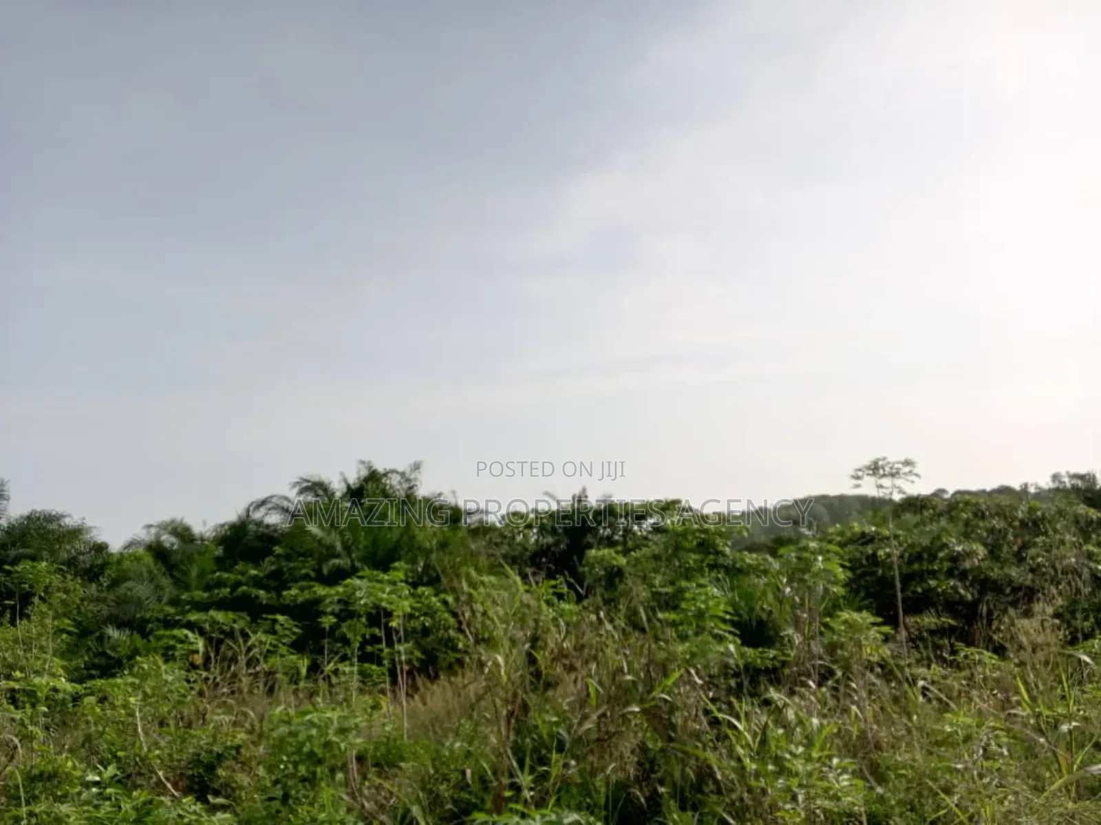 2 and Half Plots Land for Sale at School Junction