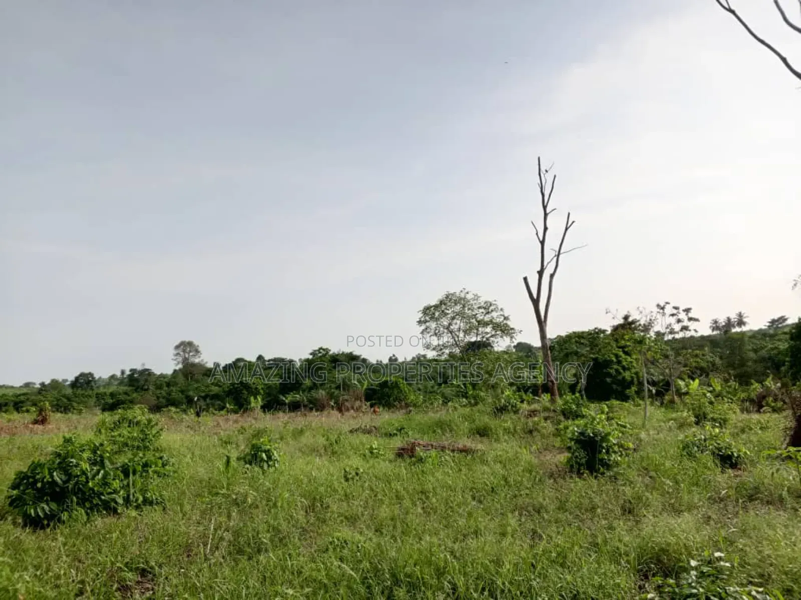 10'000 Acres of Land for Sale at Adeiso