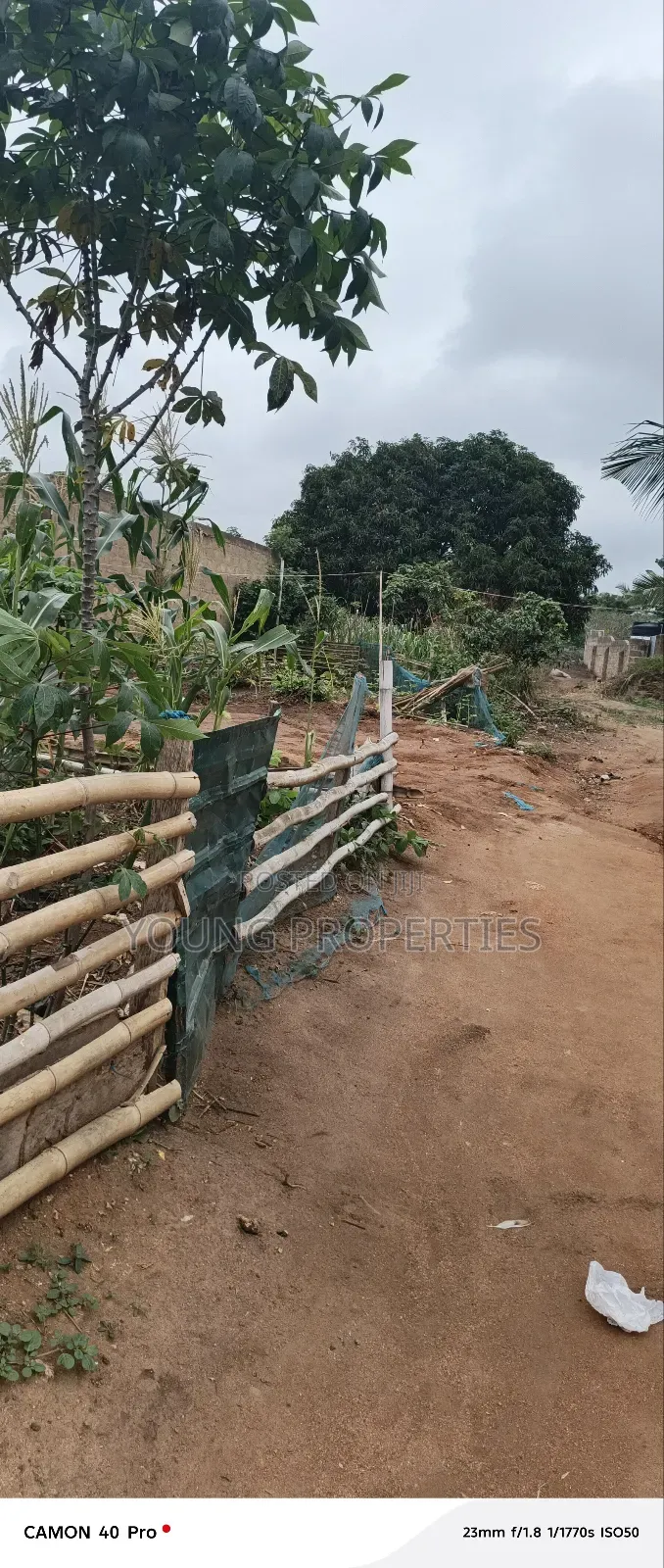 Half Plot of Land for Sale Amasaman Danchira, 35,000