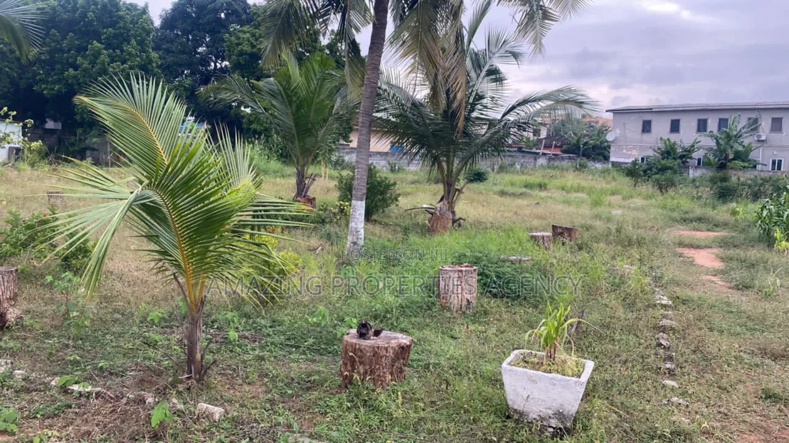 Almost 2 Acres of Land for Sale at Tesano