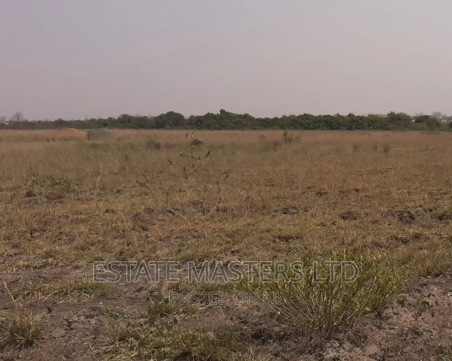 Affordable Gated Plots