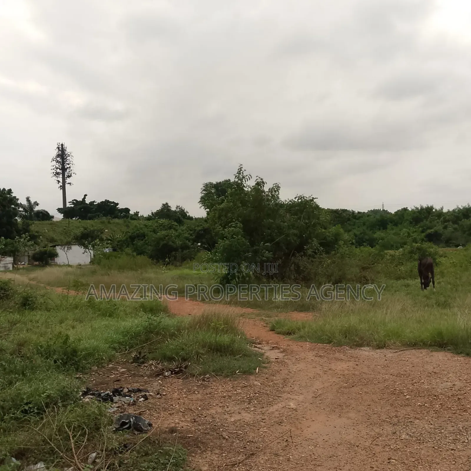4 Plots of Land Up for Sele East Legon Under Bridge Area