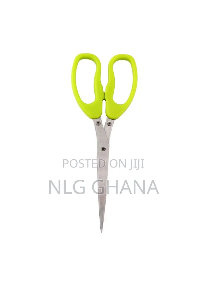 5 Layers Stainless Steel Scissors. Tvx10937