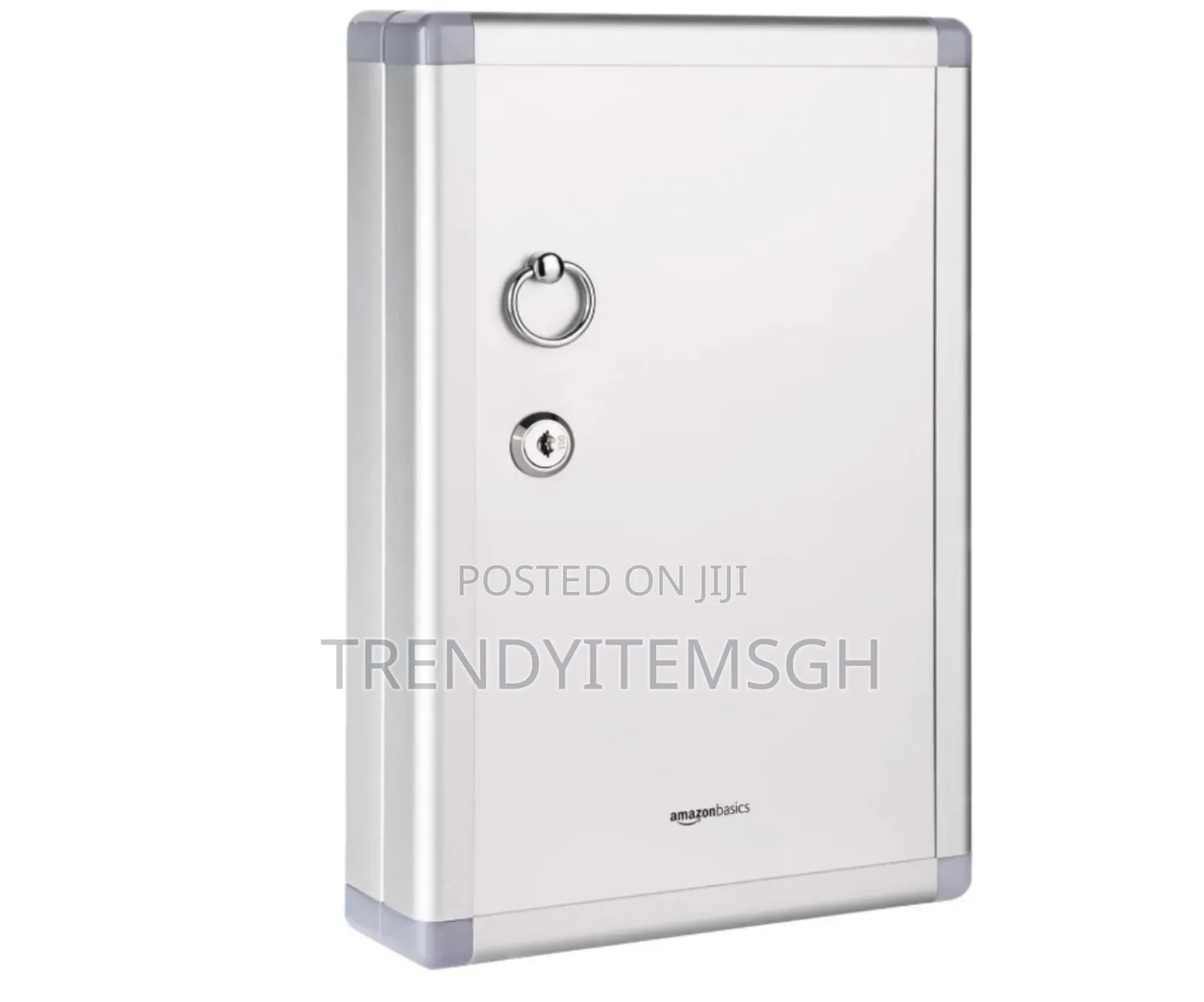 Wall Mounted Key Lock Box (24 Keys With Tags)