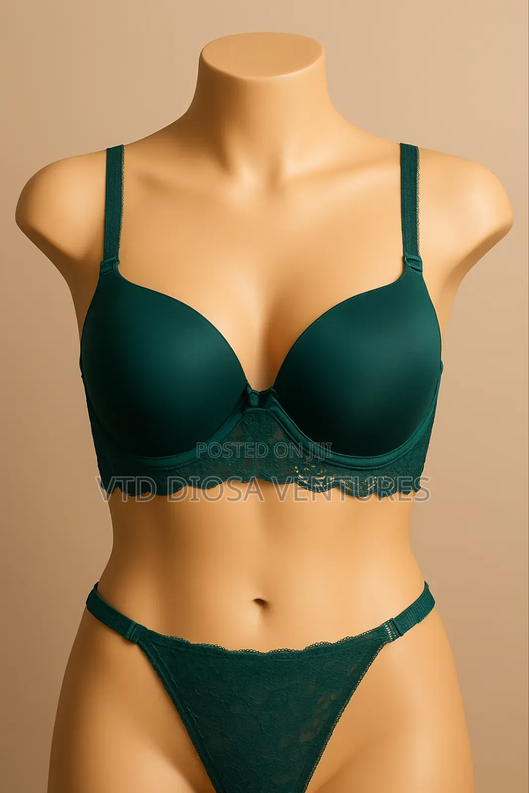 Sexy Ladies' Bra & Pant (Lingerie)