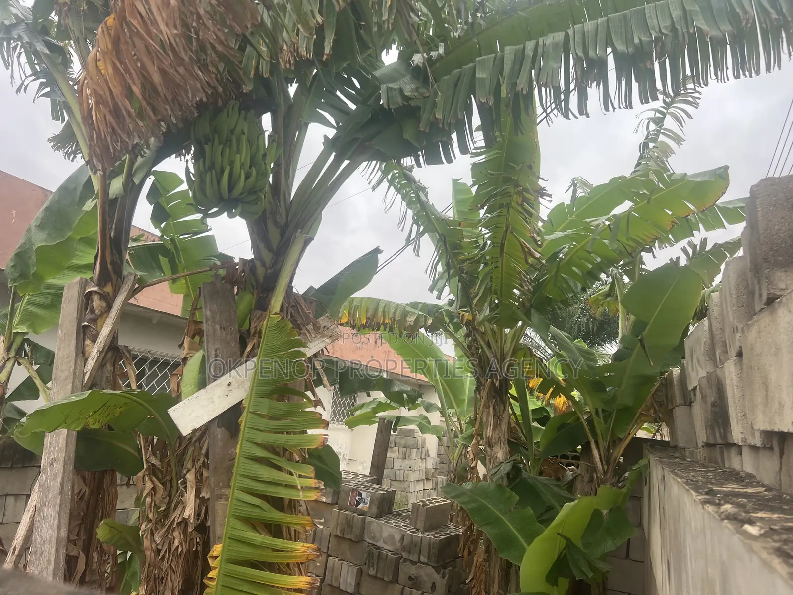 Land for Sale at Achimota