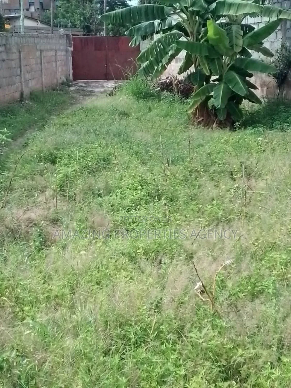 Bare Land for Sale at Tesano