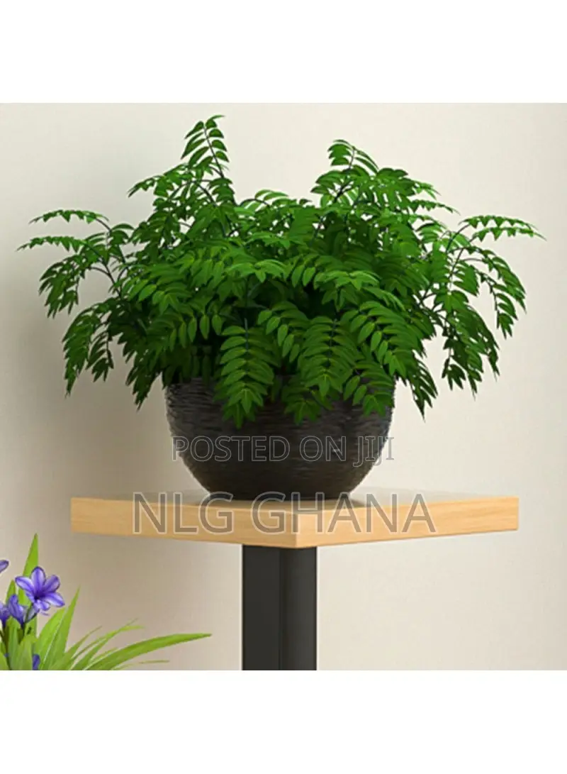 4-Tier Square Metal Flower Rack, Window Sill Plant. Tvx25263