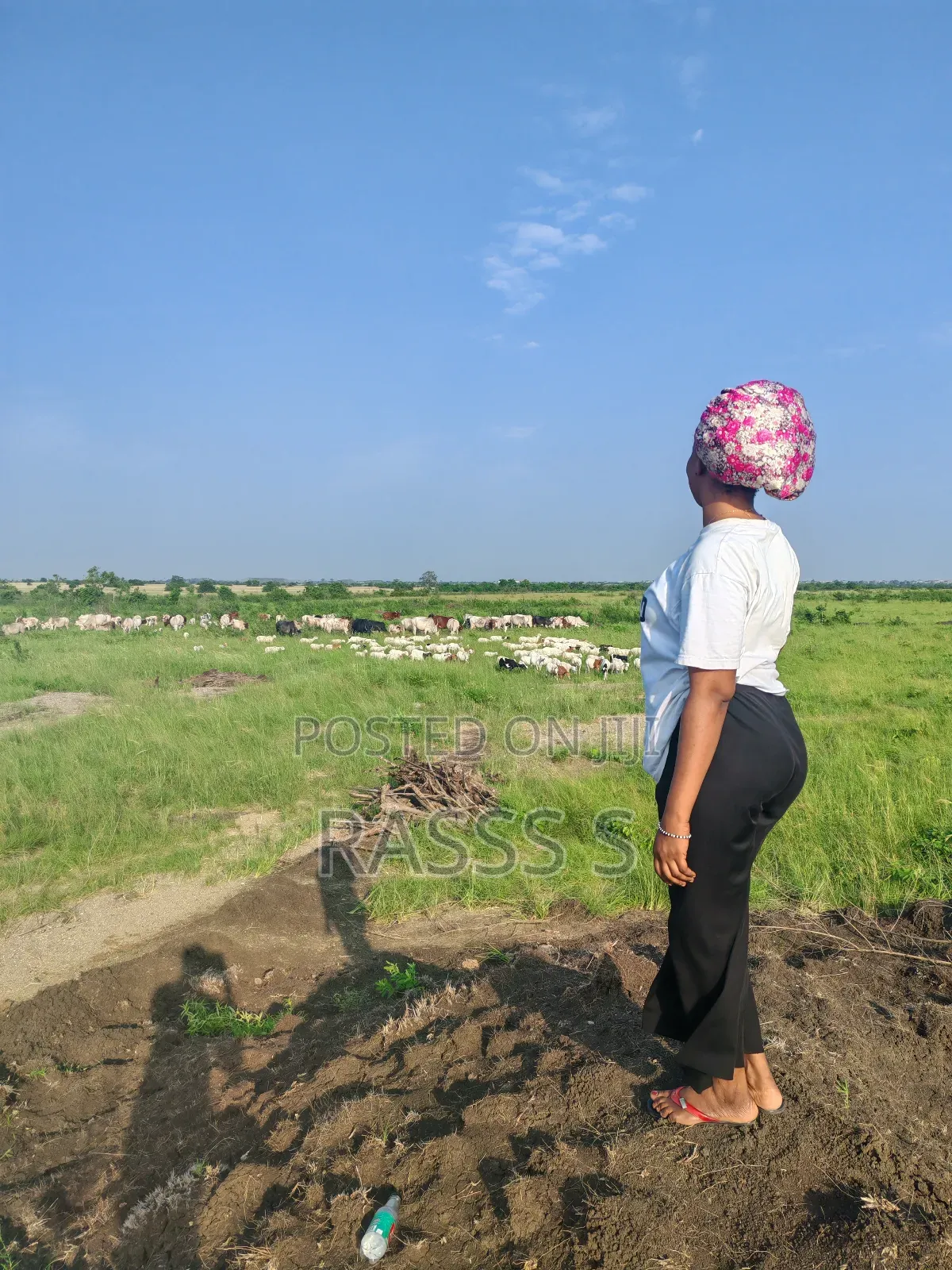 Land at Afienya Odumse for Sale