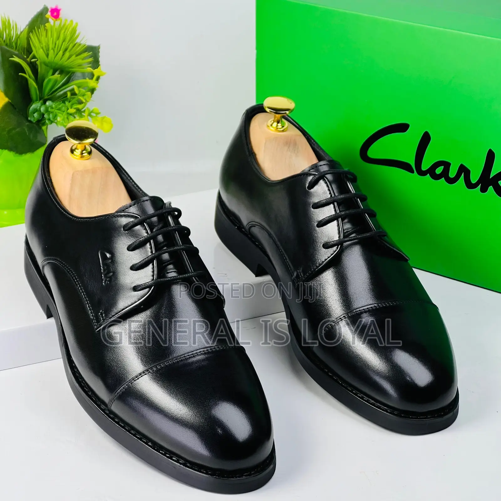 Clarks Bold Men Shoe