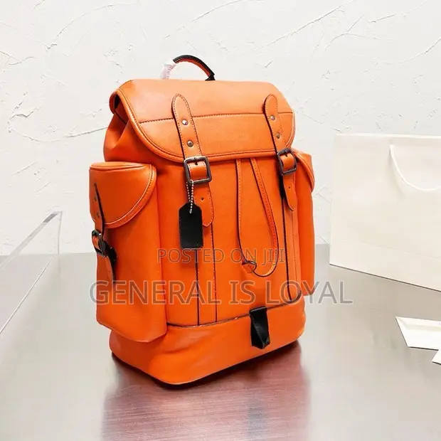 Coach Backpack Orange Color for sale  GH 2,300  Accra Metropolitan   Tonaton.com