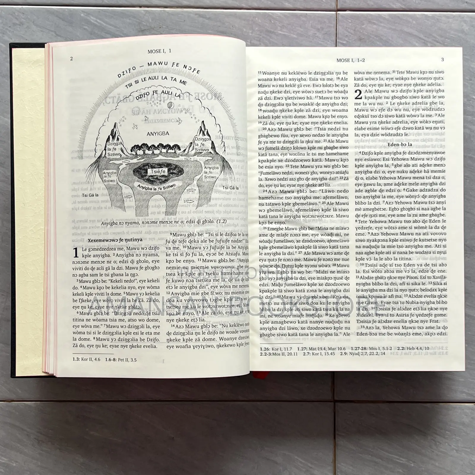 Ewe Bible Giant Print (Pulpit Bible)