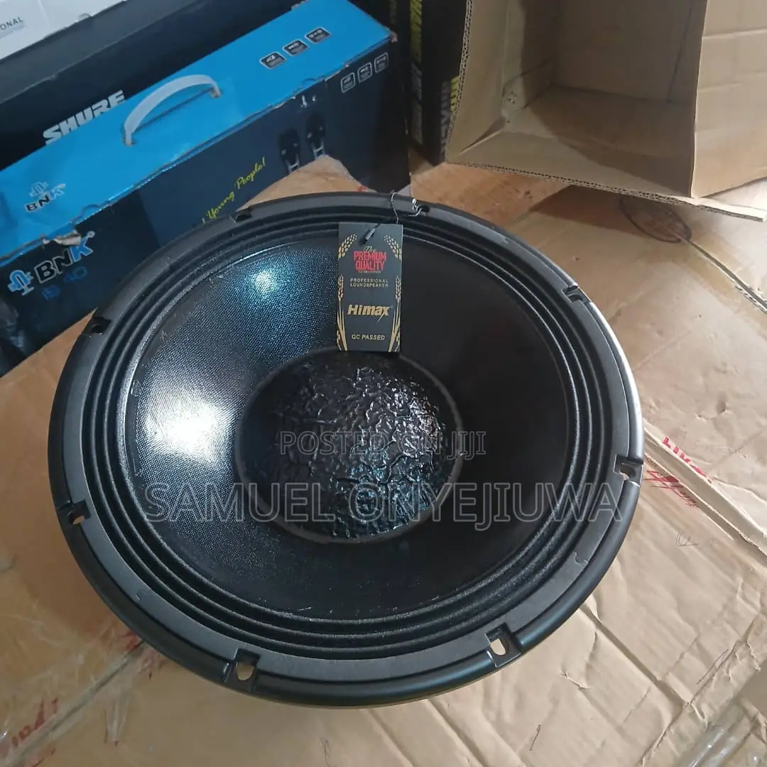 12 Inches Double Magnet Speaker
