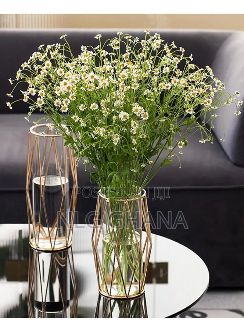 Lantern Shaped Hydroponic Transparent Glass Vase. Ghx3755