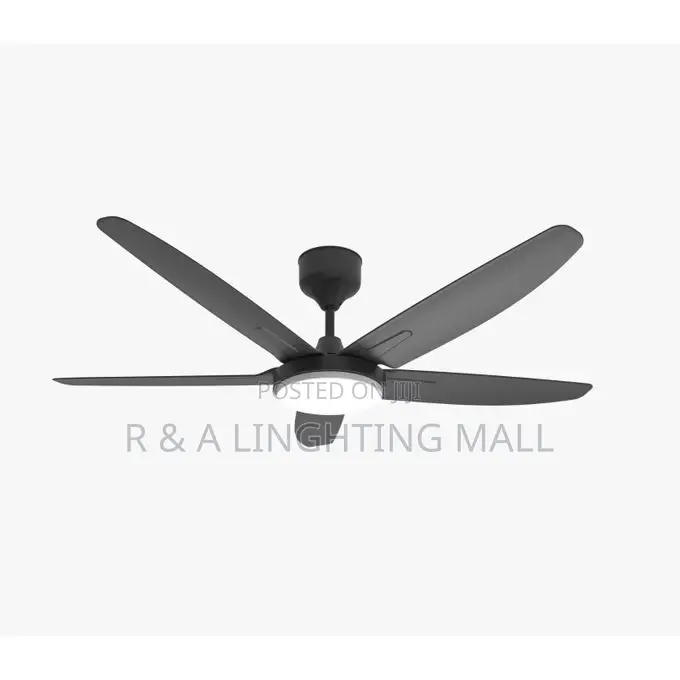 5 Blades Indoor/Outdoor Modern Art Ceiling Fan