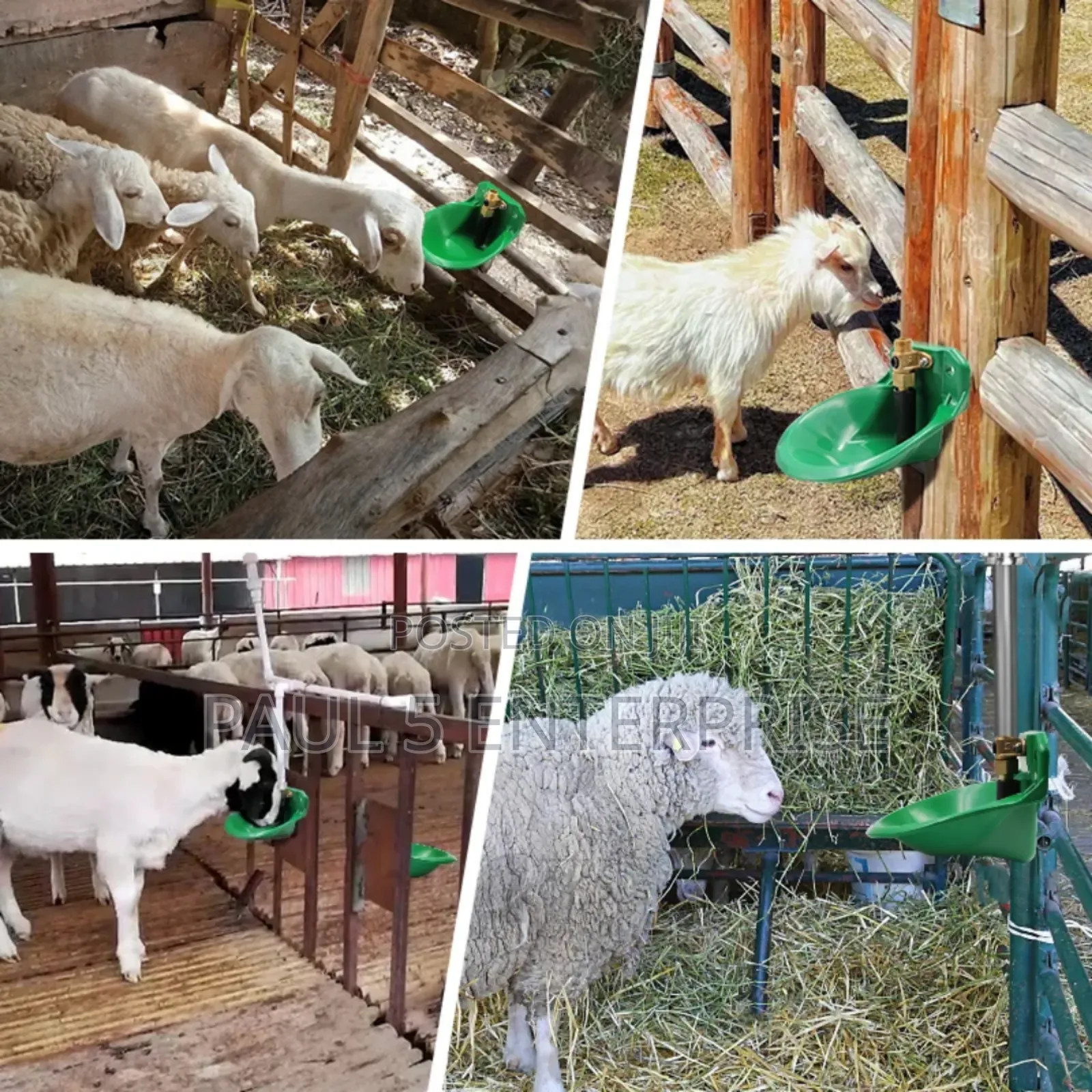 Goat Automatic Drinker Wholesale and Retail