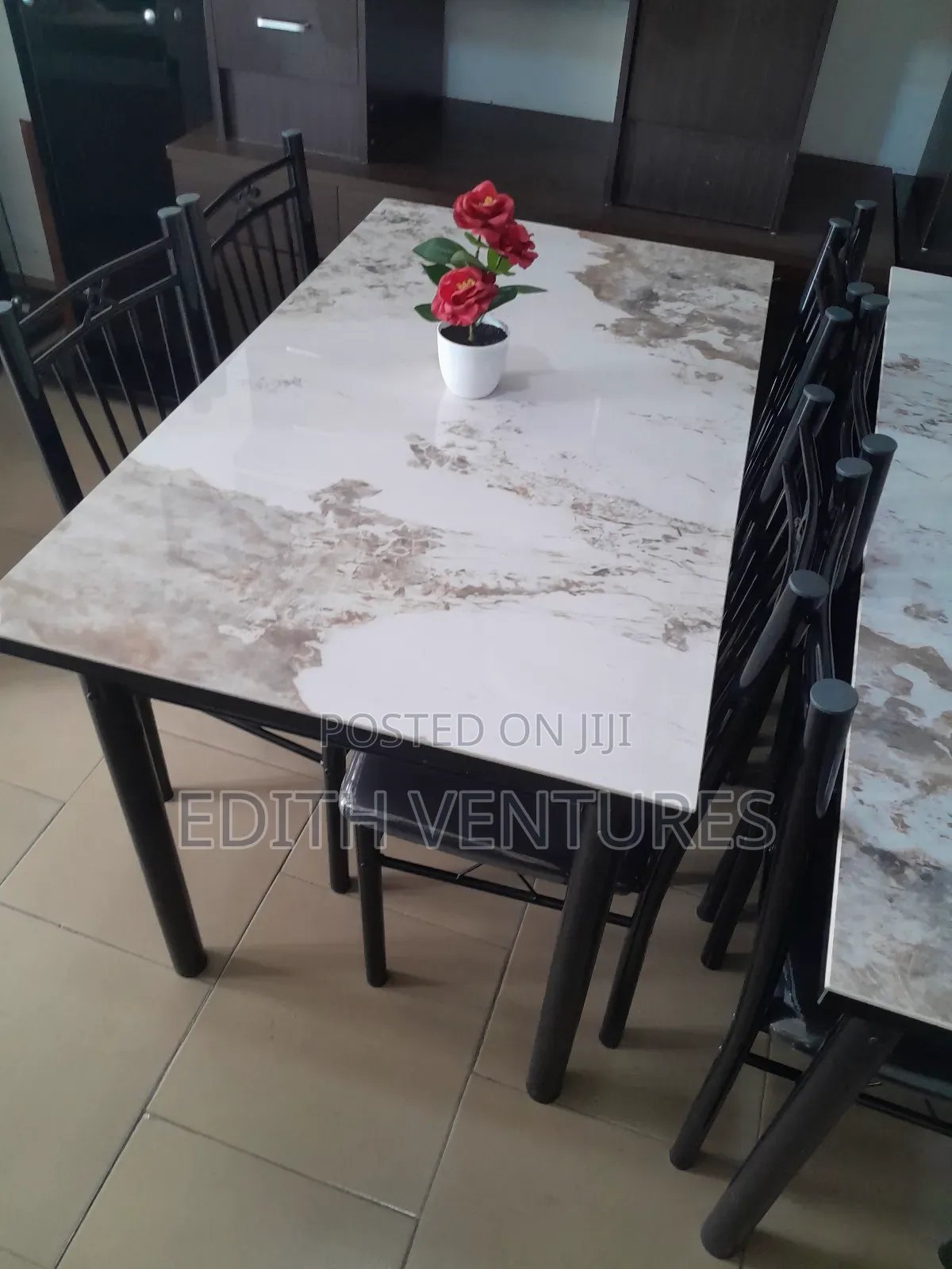 An Exclusive and Mixed Colour Dining Sets