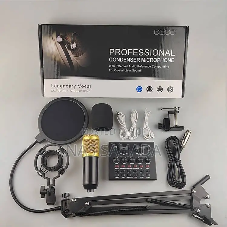 Studio Microphone ( Professional Condenser Microphone