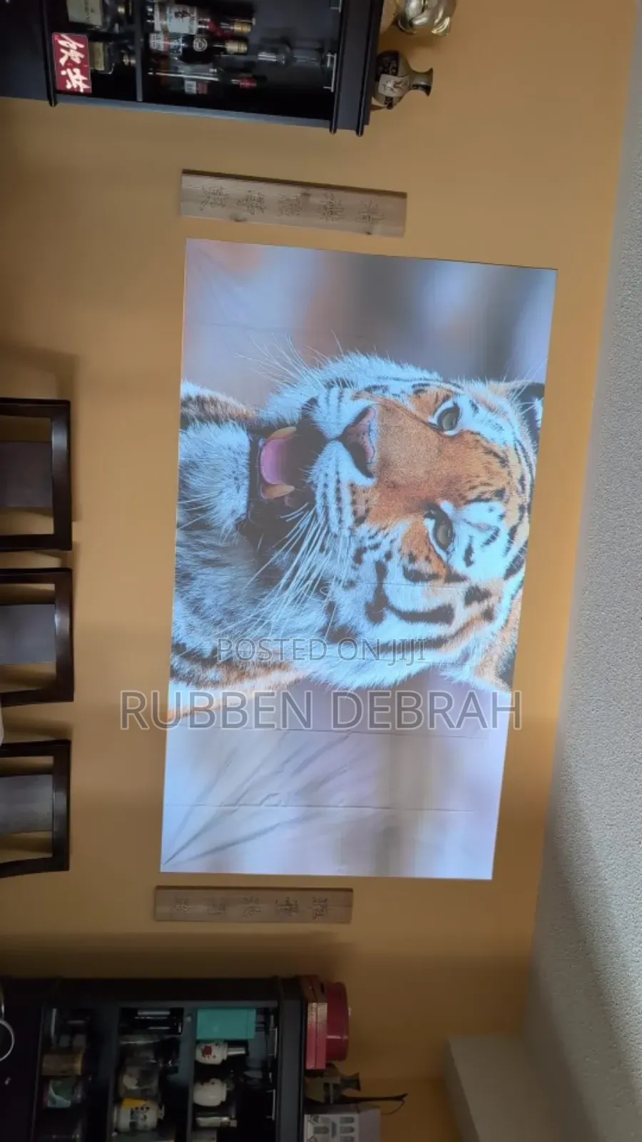 Projector Cloth Screen