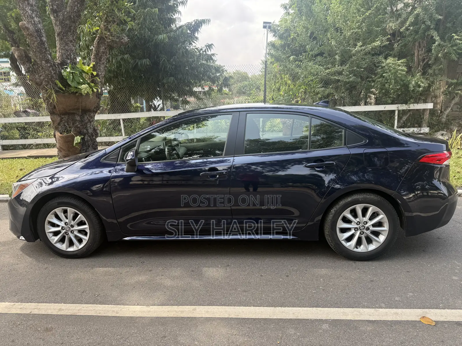 Toyota Corolla LE 2021 Blue