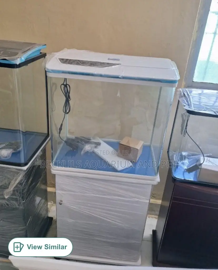 2 Feet Aquarium