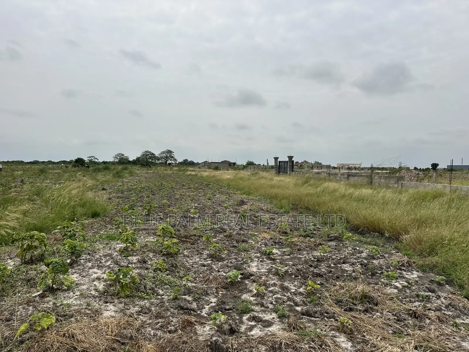 Dawhenya - Secure a Plot Here at Palm Haven Residence