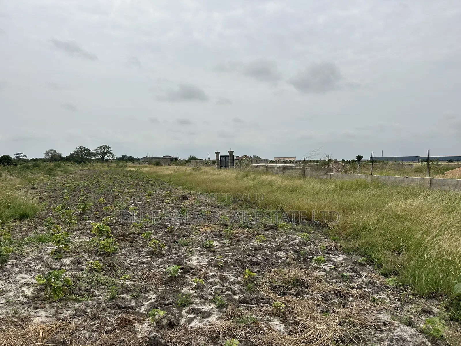 Dawhenya - Secure a Plot Here at Palm Haven Residence