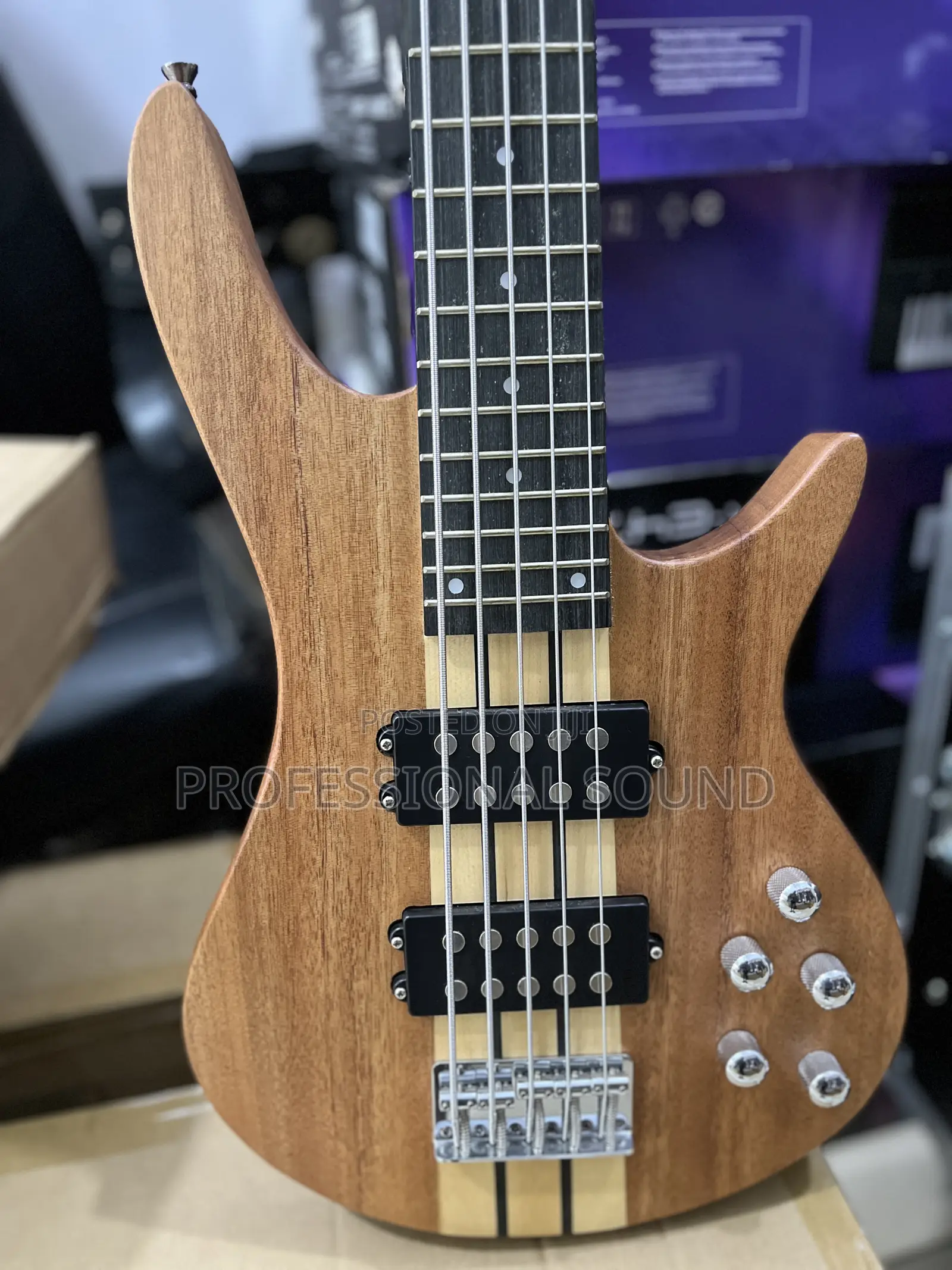 Ibanez Base Guitar