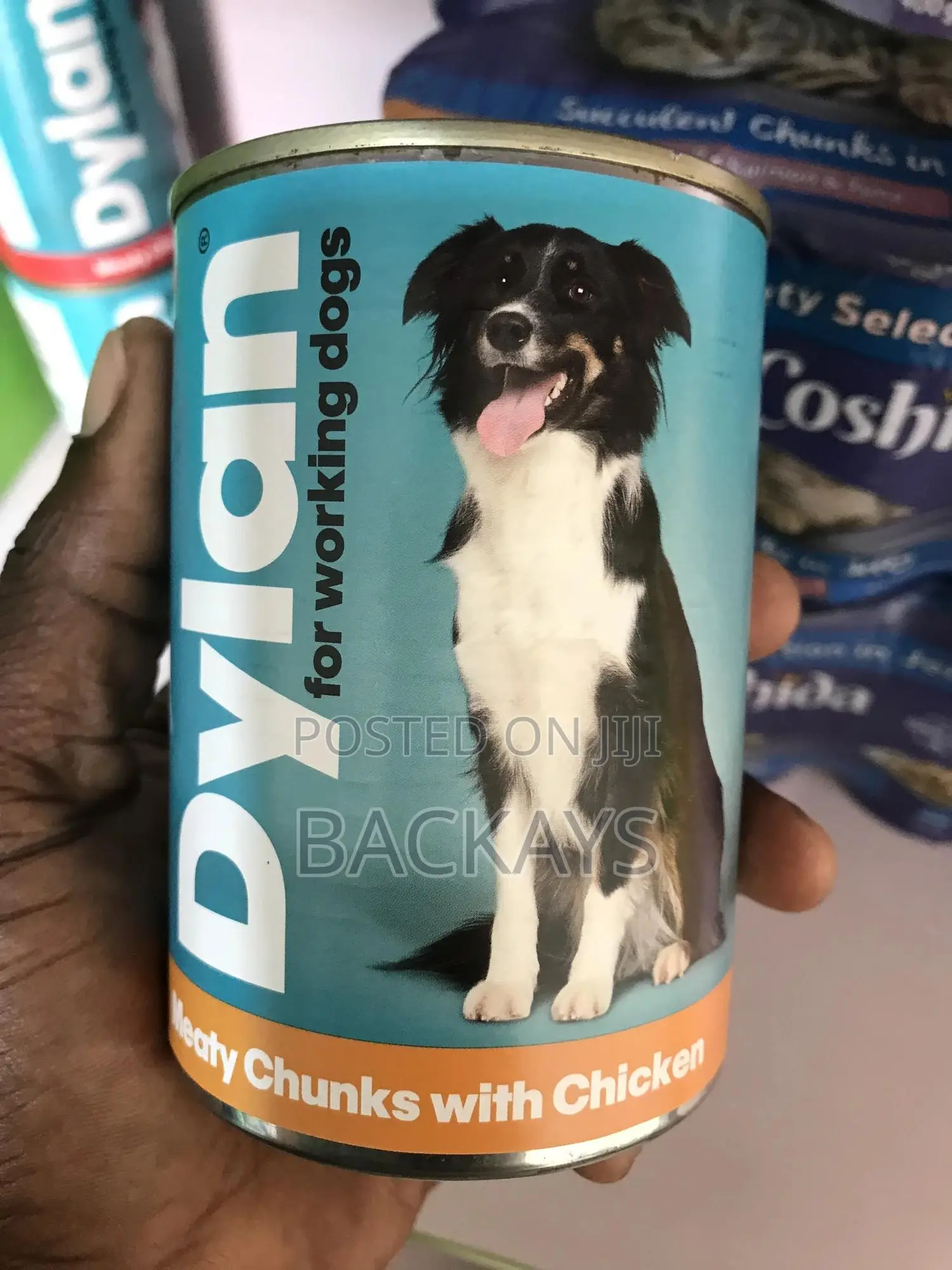 Dylan Meaty Chunks