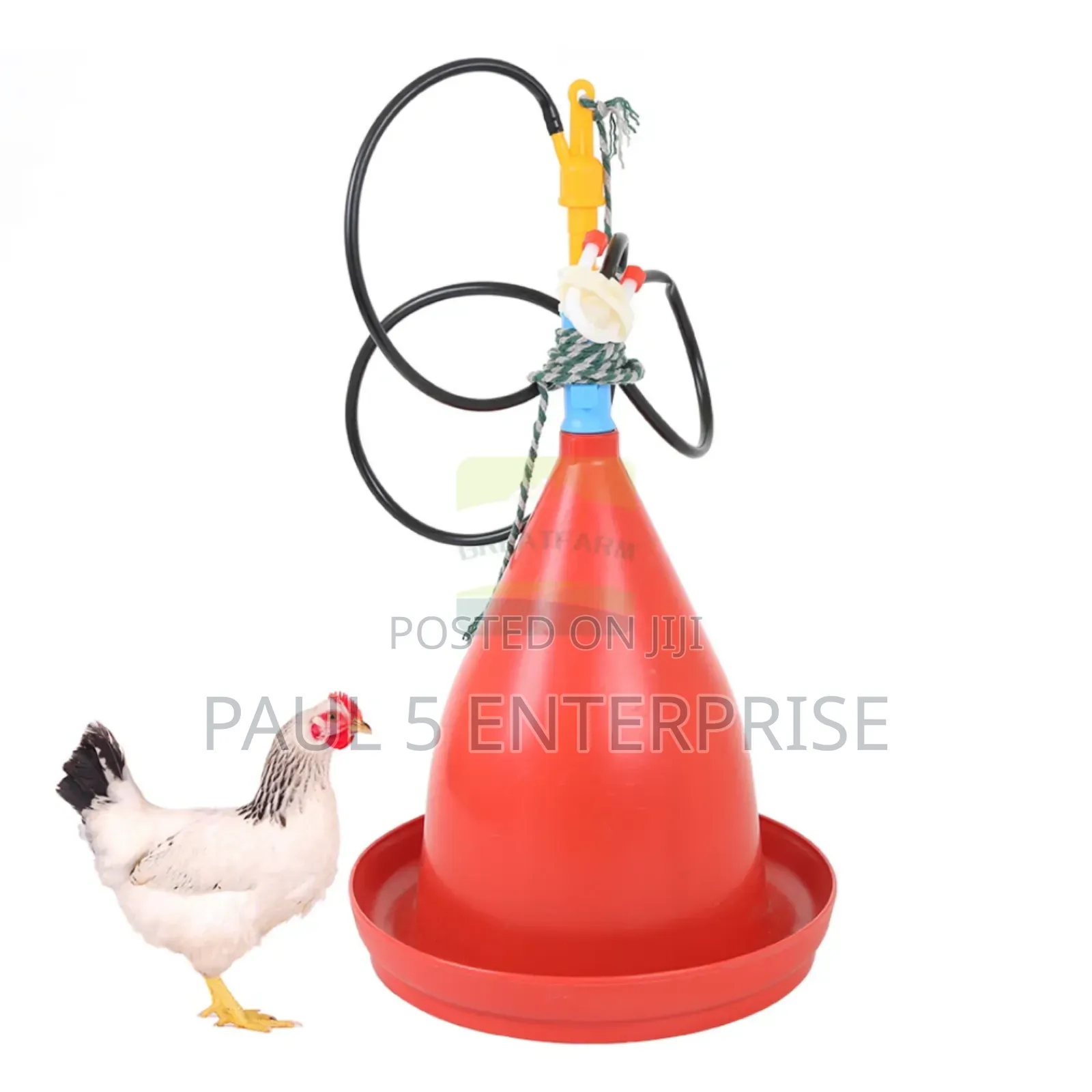 Bell Automatic Drinkers Set Wholesale and Retail
