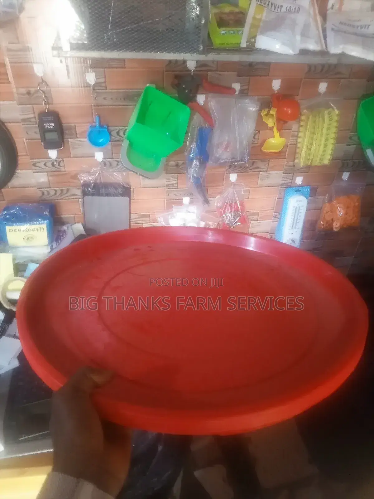 Chicks Feeding Tray