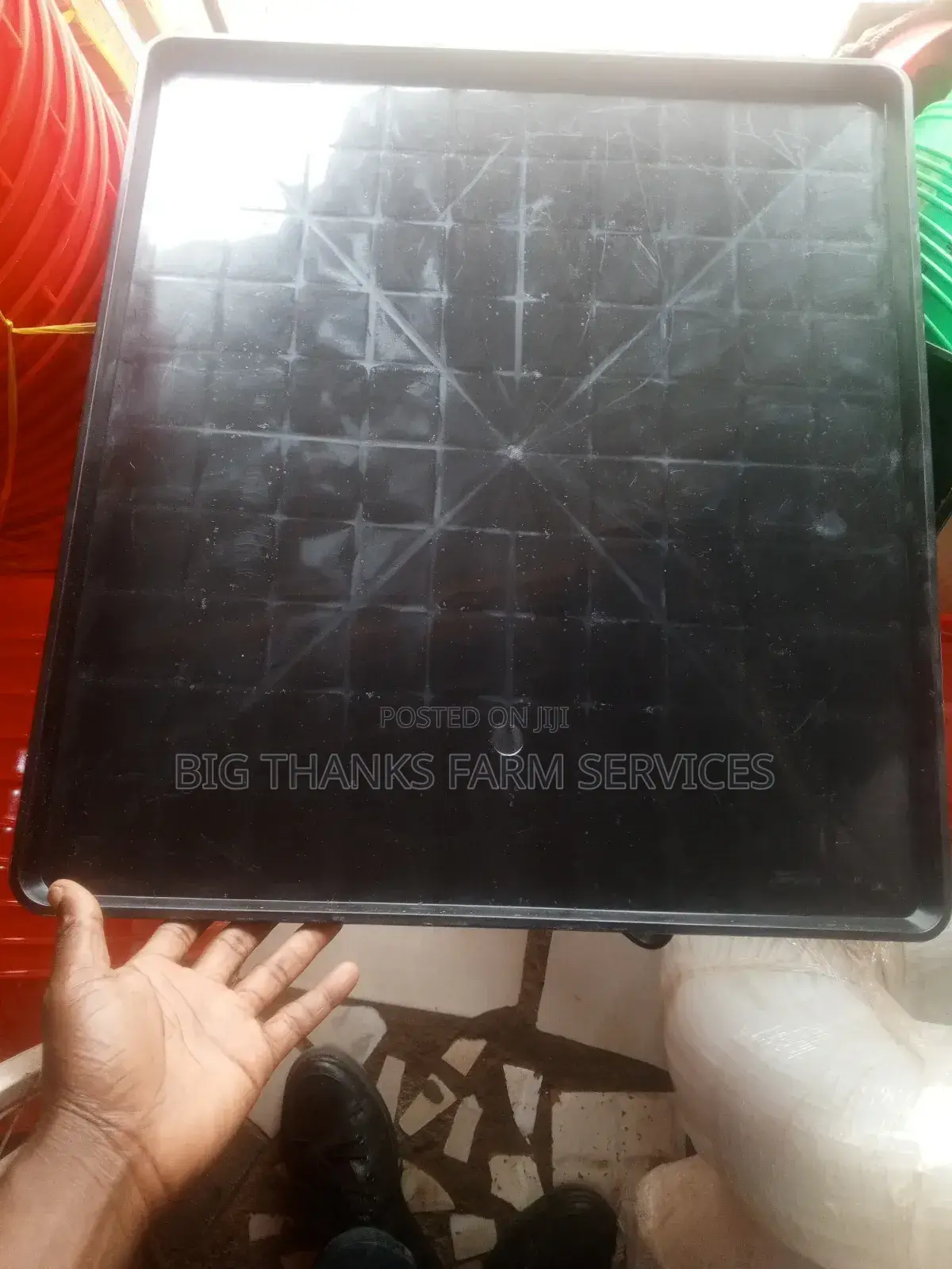 Trays For Day Old Chicks,Big Size