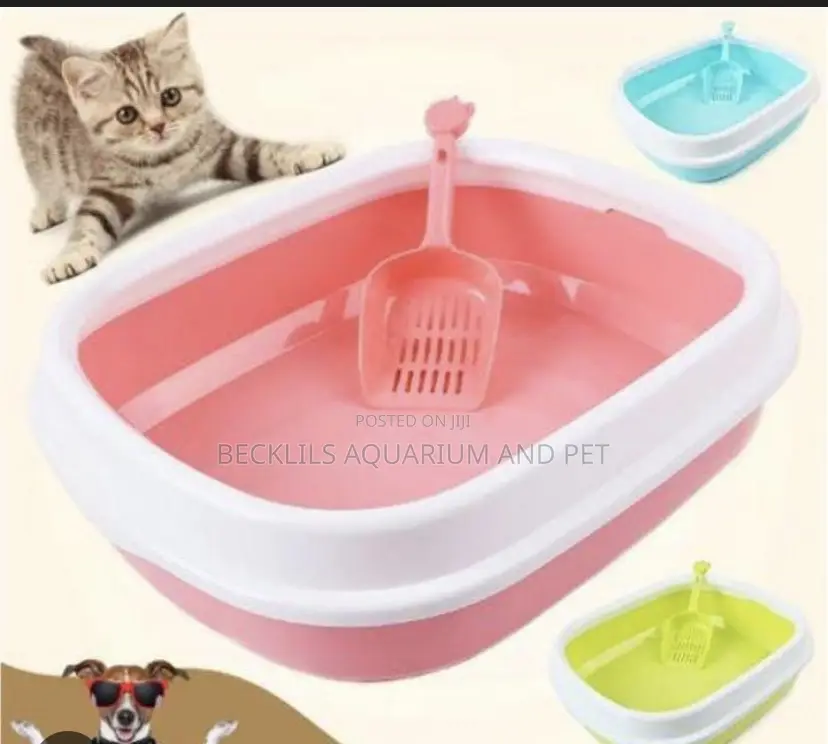Morden Open Catlitter Box