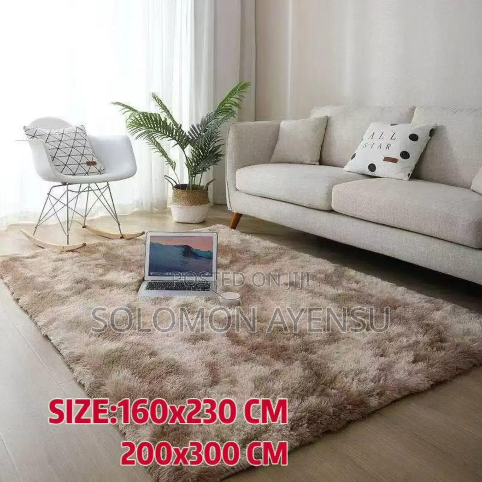 Carpet for Living Room