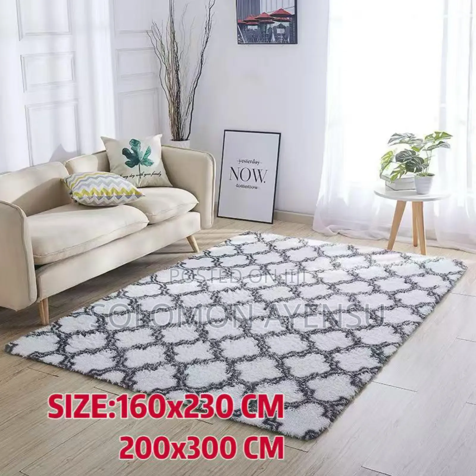 Carpet for Living Room