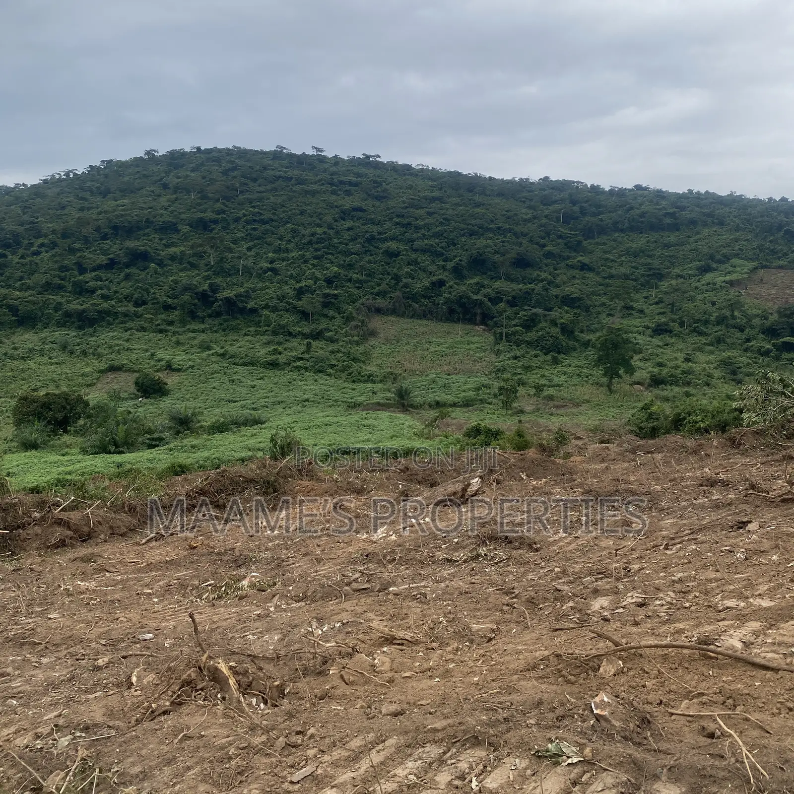 Acres of Land in Aburi, Per Plot Is 75,000 GHS