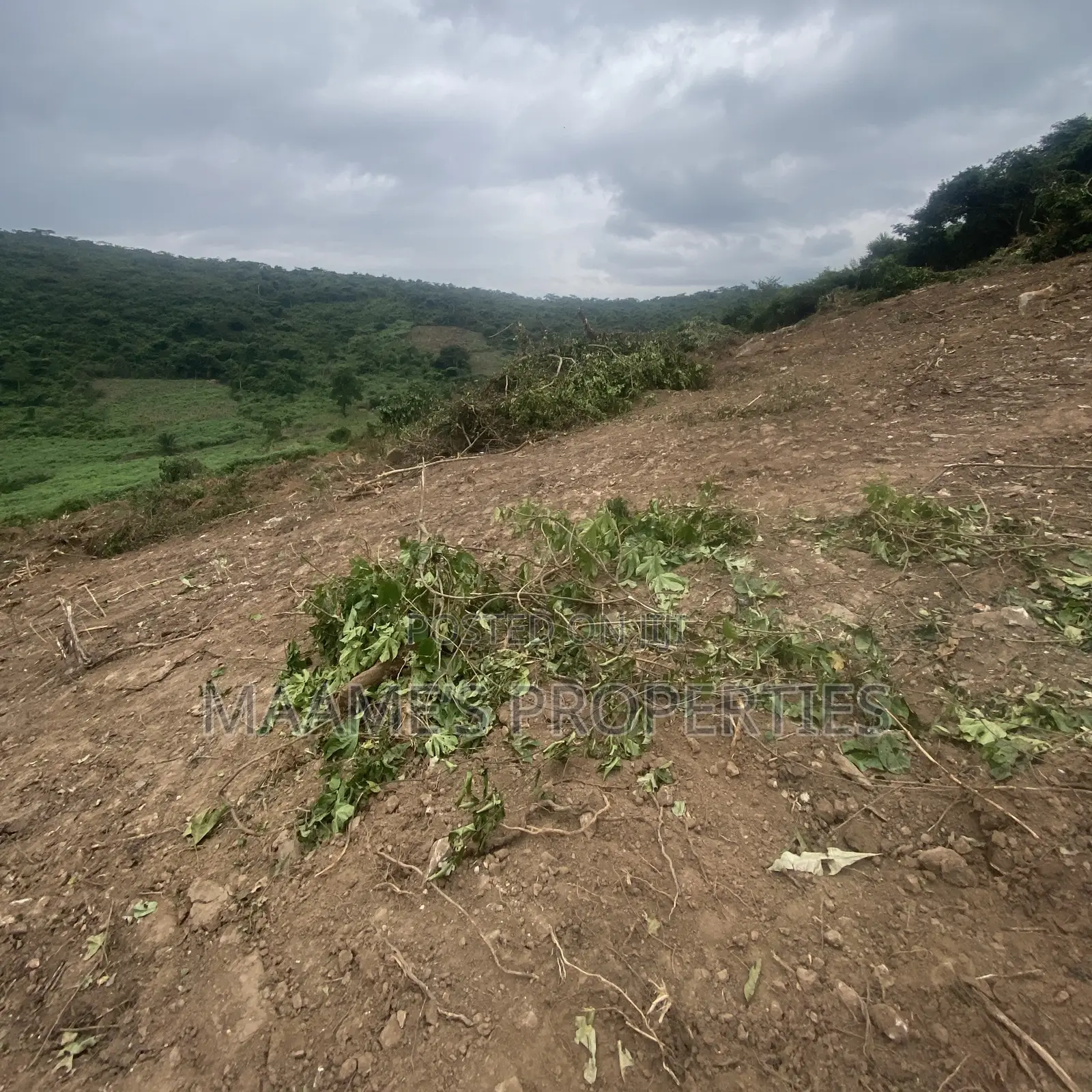 Acres of Land in Aburi, Per Plot Is 75,000 GHS
