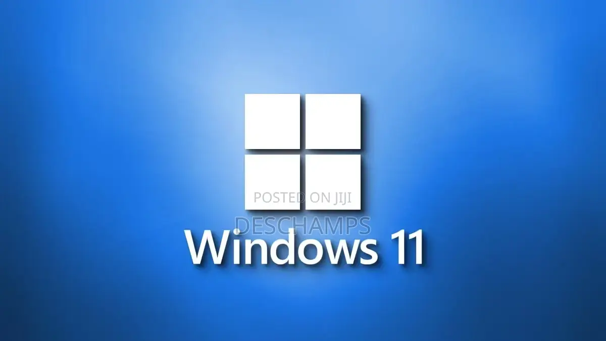Windows 11 Pro Full Installation