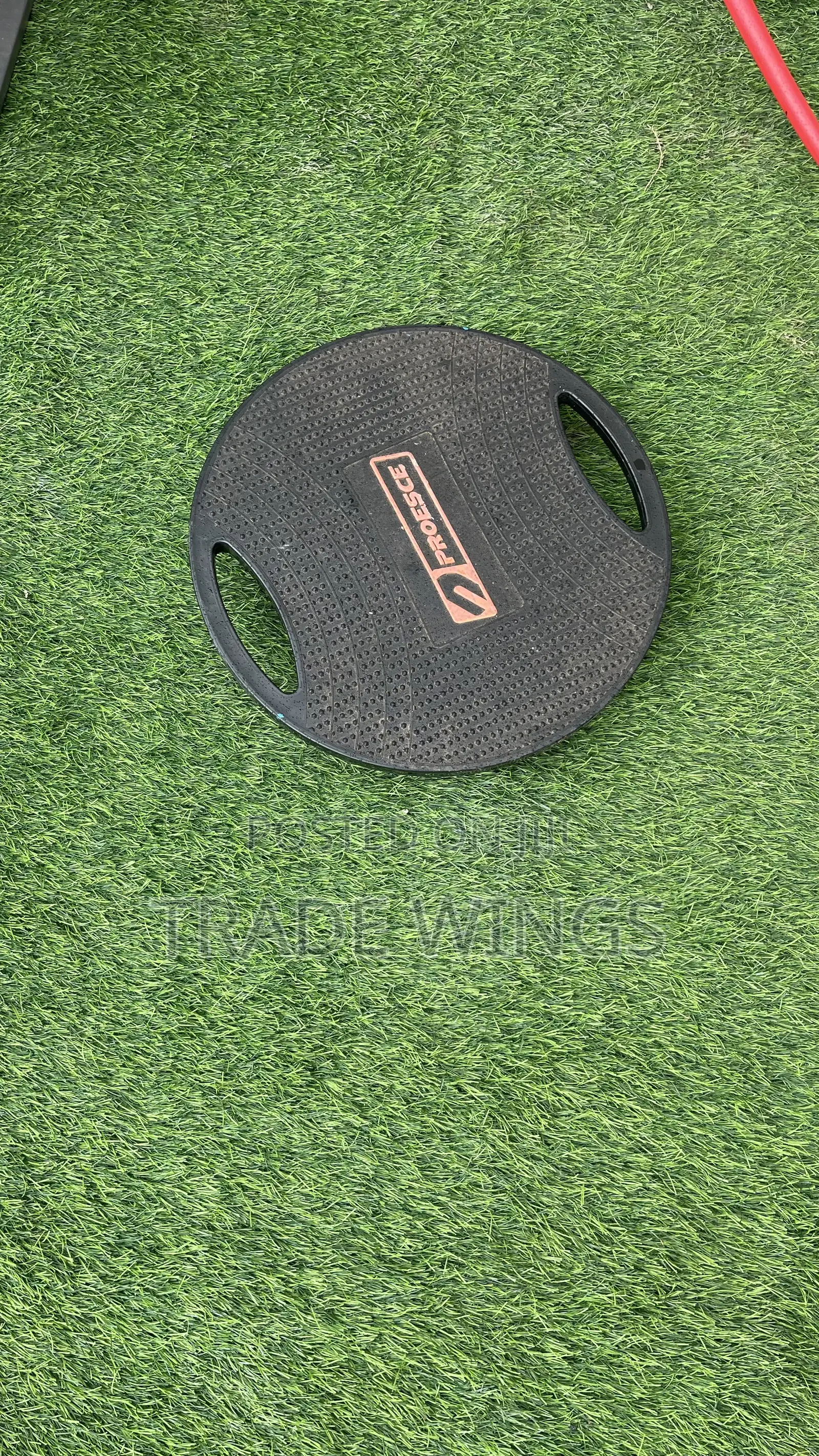1 Used Proesce Balance Board for Sale