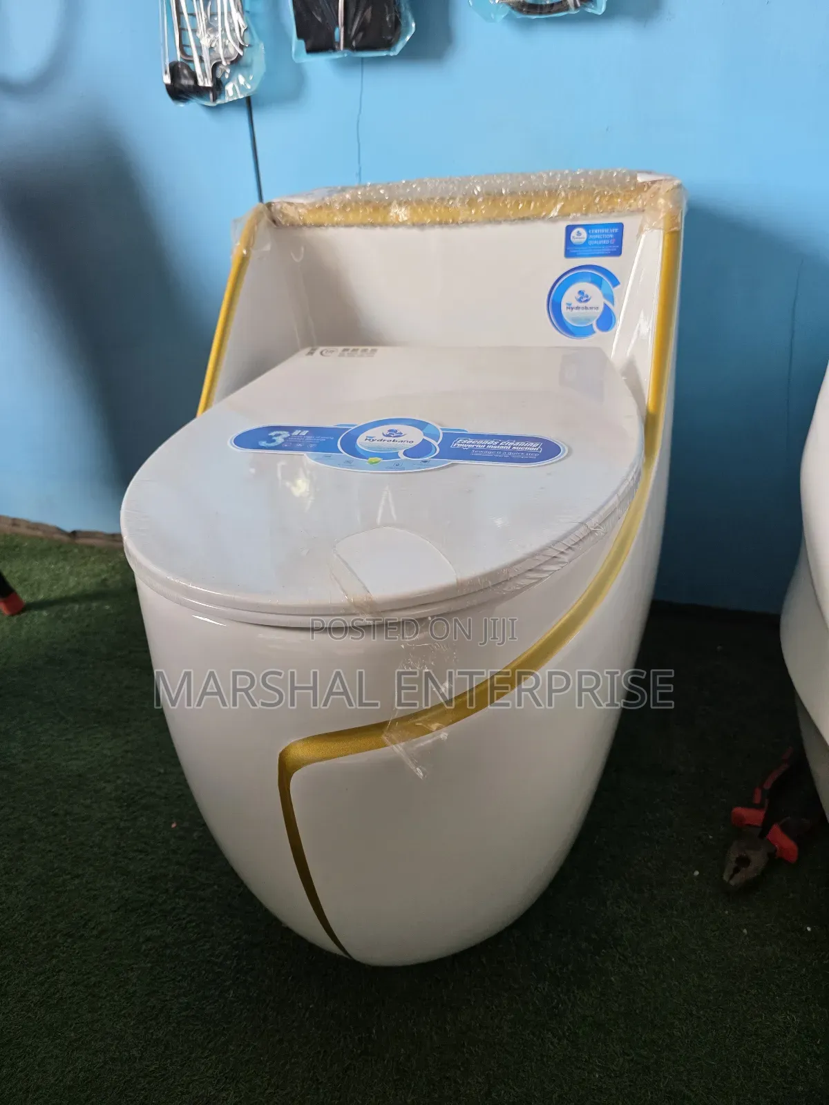 Luxury Toilet Sanitary Ware